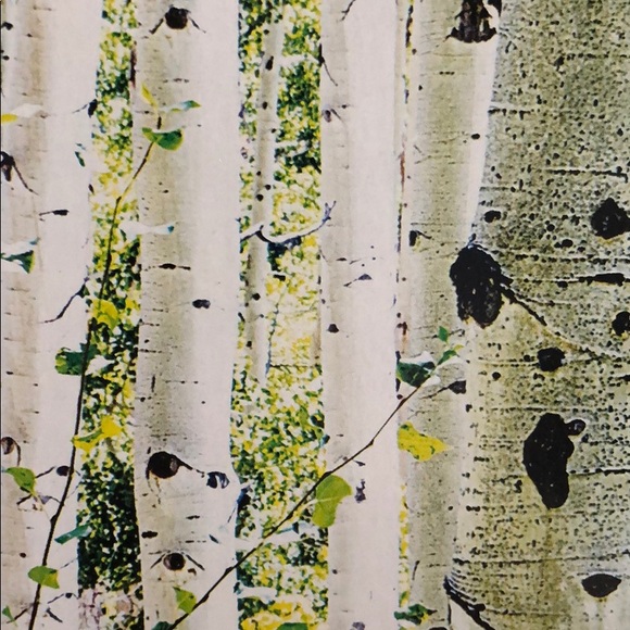 Meet your Posher, Kimberly - Picture 1 of 1